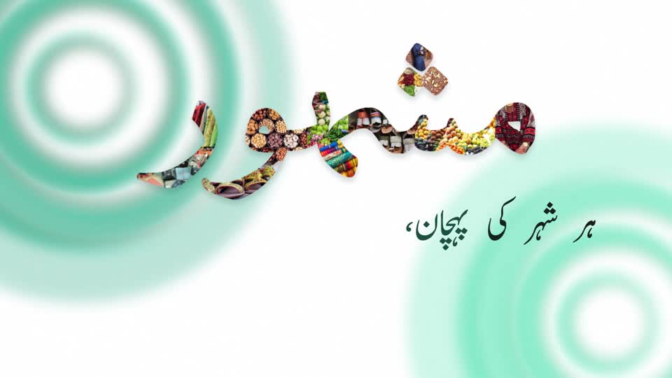 A preview of the Mashoor promo film